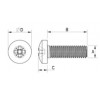 Linsenschraube Metall  Kreuz DIN 9785 [342-m] (342042540952)